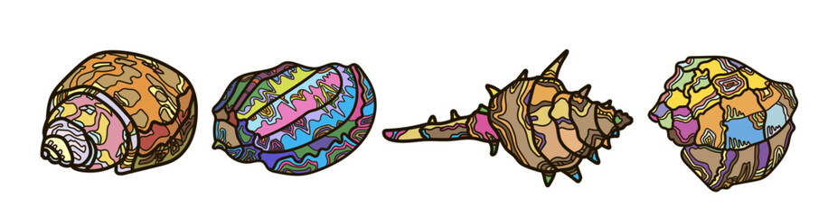 Sea shells, linear image. Vector drawing, background, design, printing.