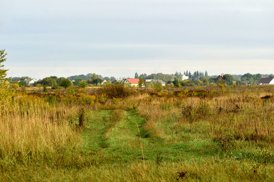 The picture shows an autumn natural landscape, a wide field with yellowing grass, roofs of houses on the horizon and a blue sky.