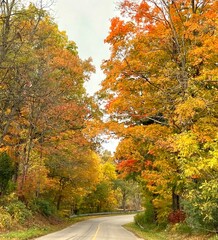 Obraz premium Country Road in Fall 