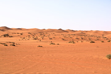 Sand dunes and desert plants the Wahiba Sands, a beautiful desert in Oman