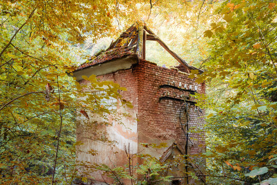 Dilapidated building in an autumnal forest