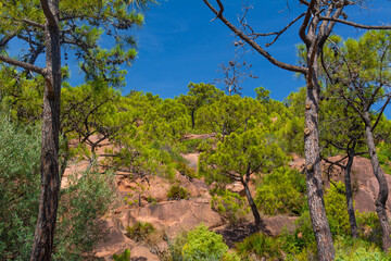Fototapeta na wymiar Vista desde abajo de las agujas de santa agueda del desierto de las palmas en Benicassim
