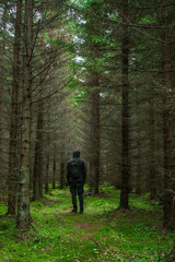 Fototapeta premium young man hiking in the forest, Finland