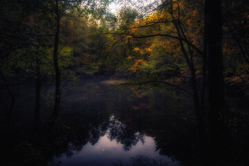 Obraz premium Golden October, lovely warm colors in the forest wood hills of the Saarland countryside in Germany, Europe in autumn fall