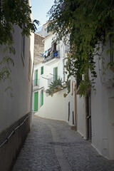 narrow street, ibiza castle, old town, ibiza, spain, balearic Islands, Mediterranean Sea,