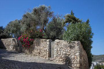 wall, street, flowers, ibiza castle, old town, ibiza, spain, balearic Islands, Mediterranean Sea,