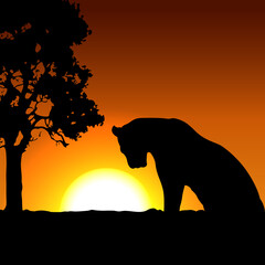 Fototapeta na wymiar view of the silhouette of a tiger in savanna. gradient background