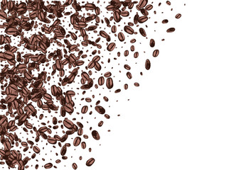 Brown Robusta Organic Vector White Background.