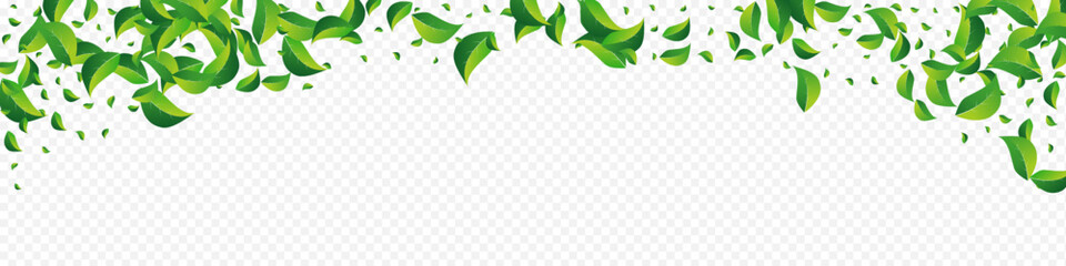 Green Leaf Abstract Vector Panoramic Transparent