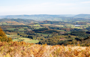 Naklejka premium panoramic view of Mont Beuvray in the Morvan.Saint-Leger-sous-Beuvray, France. Magnificent view.