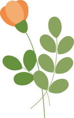 Vector illustration with orange flower and green leaves