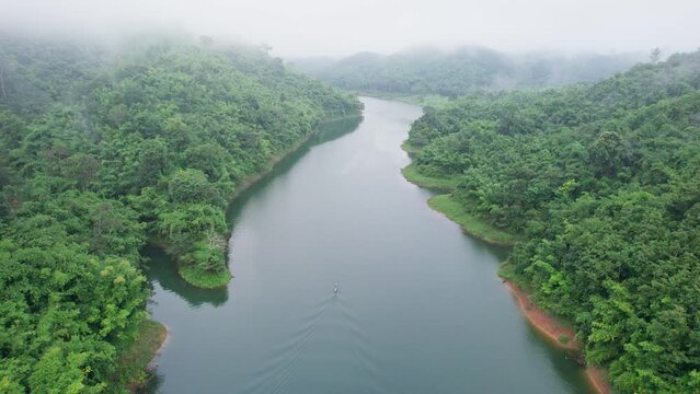 Natural foggy river flowing in tropical rainforest of abundance ecosystem in the morning