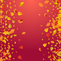 Brown Leaf Vector Red Background. Celebrate Plant