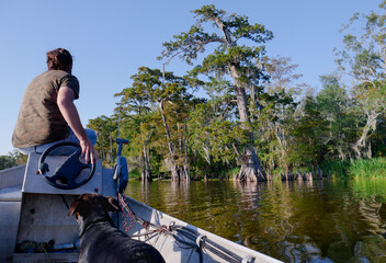Guy chilling on boat with dog in Louisiana swamp with cypress trees and cypress knees in the...