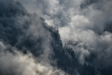 Berg Wald Nebel