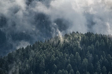 Berg Wald im Nebel