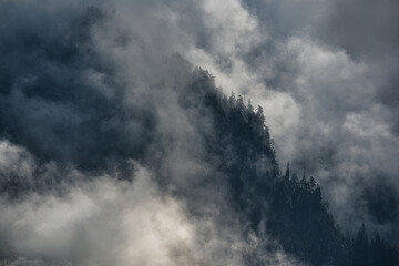 Berg Gipfel Wald Bäume Nadelbäume Nebel