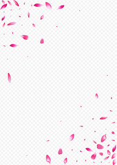 Fototapeta na wymiar Pink Blooming Vector Transparent Background. Leaf