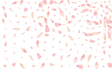 Pastel Lotus Petal Vector White Background. White