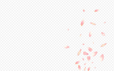 Light Blooming Vector Transparent Background.