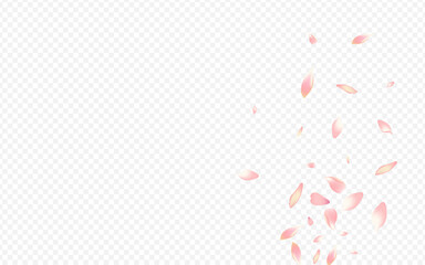 Light Blooming Vector Transparent Background.