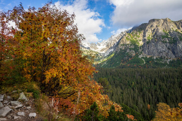 Fototapeta na wymiar Autumn view of the High Tatras. Popradske Pleso area. Slovakia.