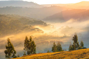 Southern Brazil countryside and meadows landscape at peaceful sunrise