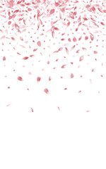 Pink Flower Petal Vector White Background. Pastel
