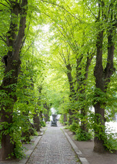  On the streets of Wismar old town. Colorful houses along the canal of Grube river, Wismar city, Mecklenburg-Vorpommern state, Germany