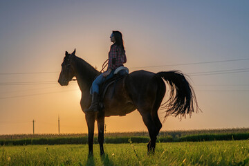 Young beautiful dark-haired girl on a horse. There is artistic noise.