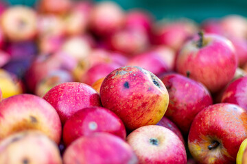Äpfel