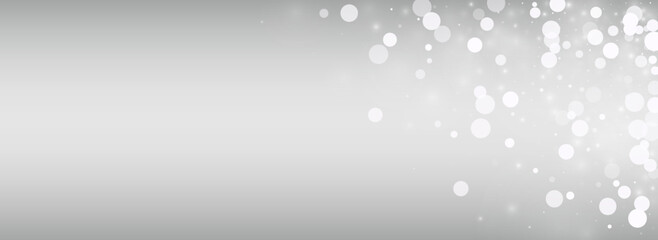 Light Snowflake Vector Silver Panoramic