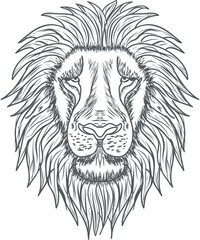 Obraz premium Lion head with hand stroked vector design, premium abstract