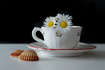 Taza con margaritas y conchas