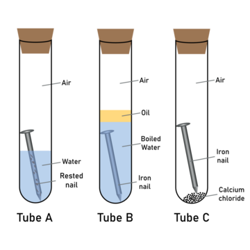 Observe the following diagram. In which test tube a small iron nail will  rust rapidly?Oil layer on boiled waterAirSalt solutionAir and anhydrous  calcium chloride