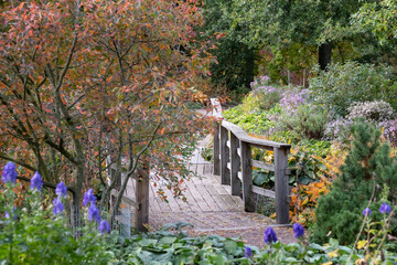 Autumn colours in the Robinson Garden at RHS Hyde Hall, near Chelmsford, Essex UK. - obrazy, fototapety, plakaty