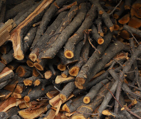 chopped forest wood. supplies for a fire in the fireplace
