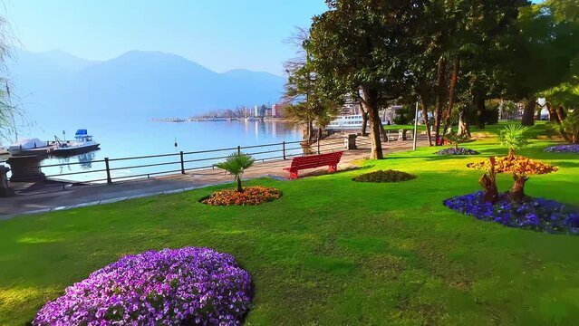 Petunia and pansy flower beds in park of Lake Maggiore, Locarno, Switzerland