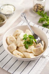 traditional ukrainian east european dish varenyky or chinese wan tan or dim sum - dumplings stuffed with minced meat, fresh cilantro, herbs in white bowl on white lined kitchen towel