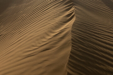 Detail of a beautiful desert sand dune meditation wilderness