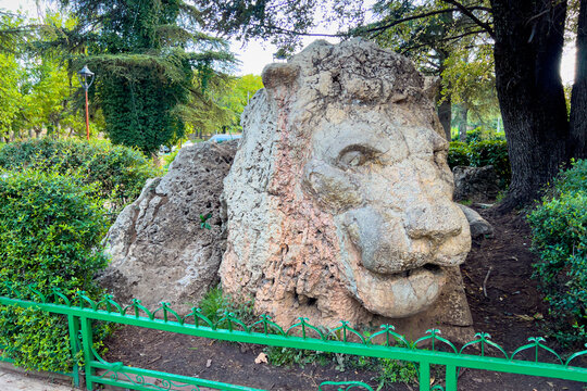 The Lion statue in Ifran, Morocco