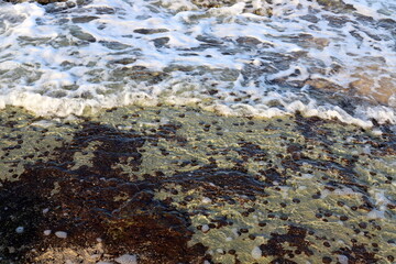The color of the water in the mediterranean sea in shallow water