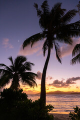 Obraz premium Silhouette of palm trees Beautiful sunset on the tropical sea beach background for travel in holiday relax time,