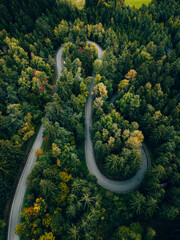 Aerial photo of road with curves in the forest