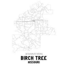 Birch Tree Missouri. US street map with black and white lines.