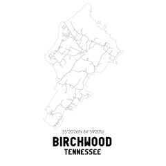 Birchwood Tennessee. US street map with black and white lines.