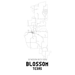 Blossom Texas. US street map with black and white lines.