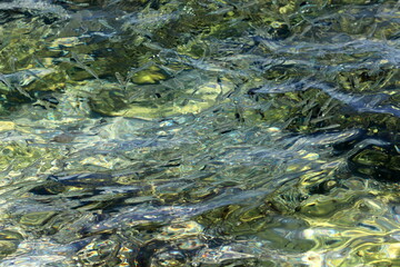 The color of the water in the mediterranean sea in shallow water