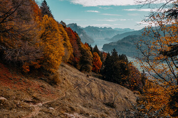 Swiss Autumn Valley
