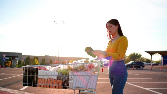 Buyer Checks Paper Receipt On Shopping Supermarket. Customer Receipt Bill Expensive Total. Cash Register Money Spending On Hypermarket. Home Finance Budget.Woman Check Bill Grocery Store Shopping Cart